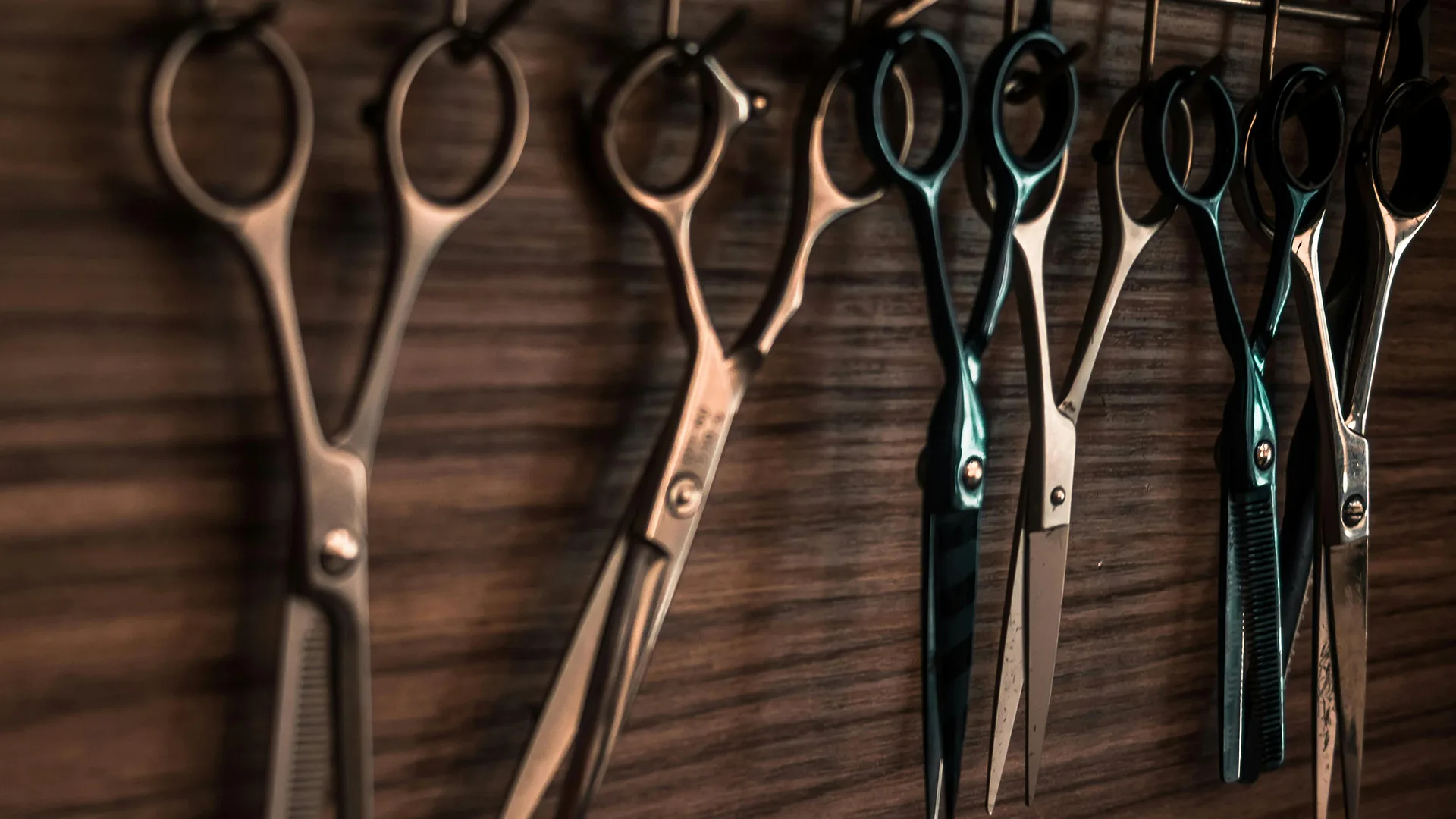 Titan Shears professional grooming workspace